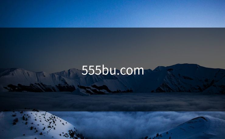 555bu.com