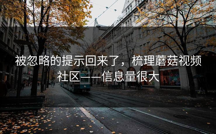被忽略的提示回来了，梳理蘑菇视频社区——信息量很大
