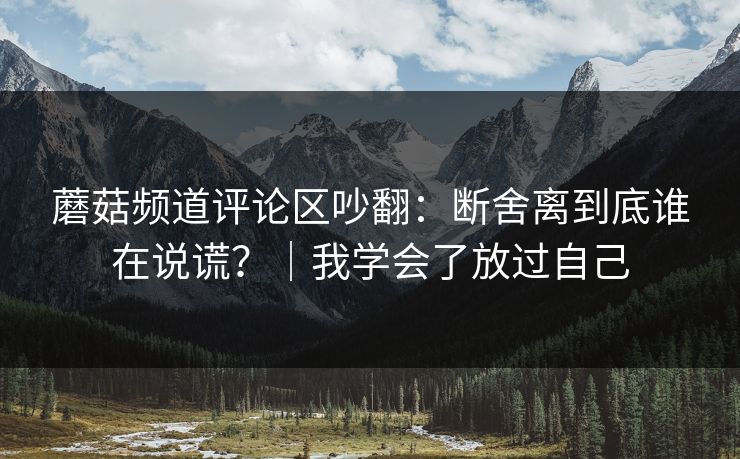 蘑菇频道评论区吵翻：断舍离到底谁在说谎？｜我学会了放过自己